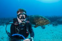 Dave Ochs and goliath grouper