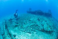 scuba diver, wreck, and fish in Florida